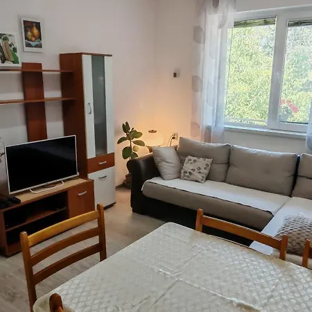 Apartment Dusica Tekija - Djerdap National Park Tekija (Bor)