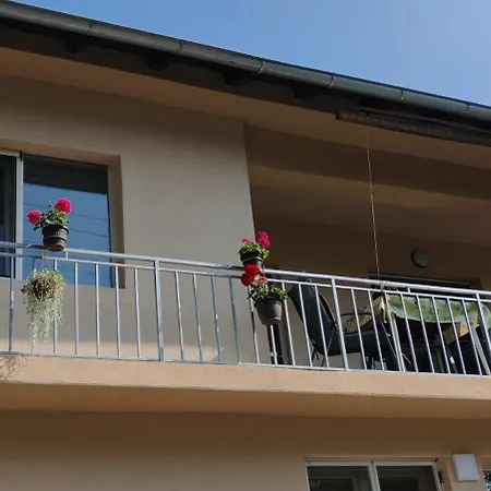 Apartment Dusica Tekija - Djerdap National Park *