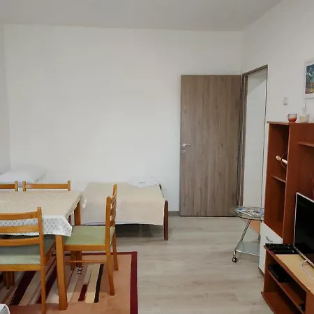 Apartment Dusica Tekija - Djerdap National Park Tekija (Bor)