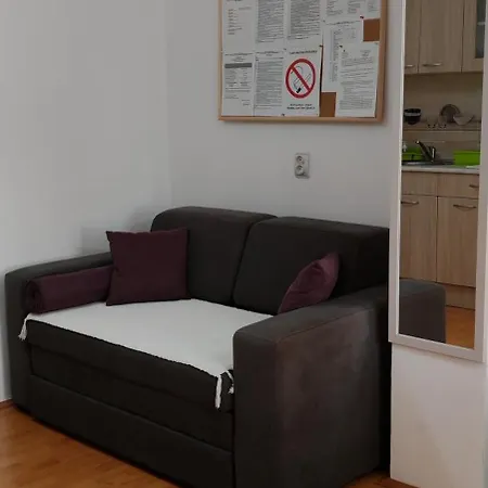 Dusica Tekija - Djerdap National Park Apartment Tekija (Bor)