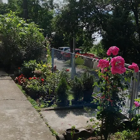 Dusica Tekija - Djerdap National Park Tekija (Bor)