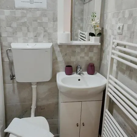 Apartment Dusica Tekija - Djerdap National Park Tekija (Bor)