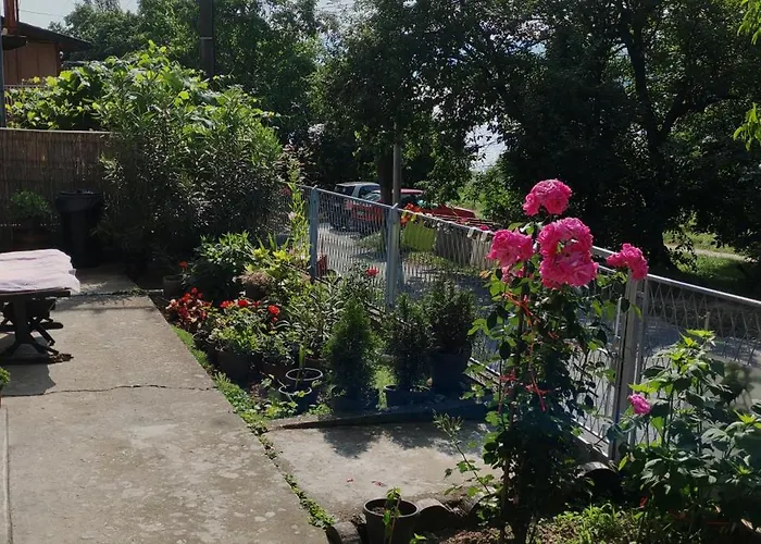 Dusica Tekija - Djerdap National Park Tekija (Bor)