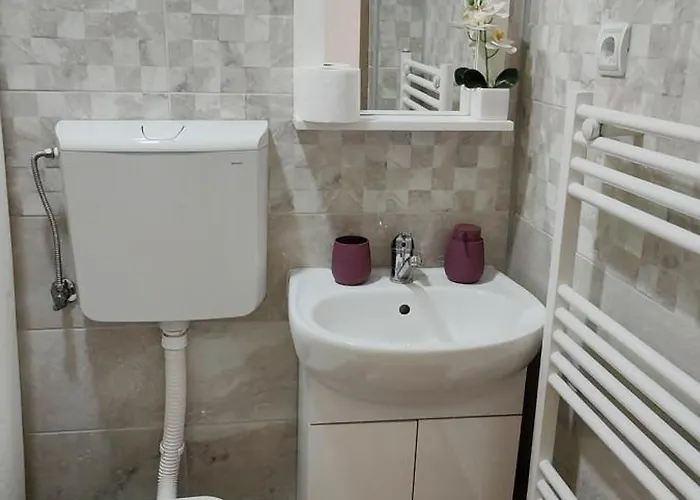 Lejlighed Dusica Tekija - Djerdap National Park Tekija (Bor)