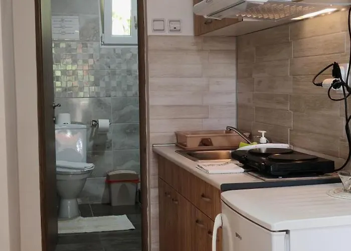 Dusica Tekija - Djerdap National Park Tekija (Bor)